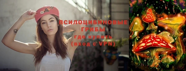 молекула духа Алзамай