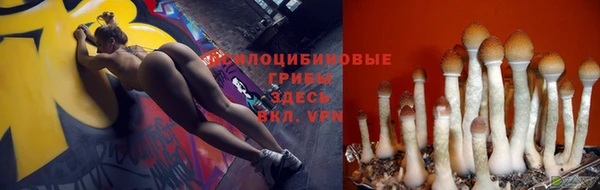 дживик Абаза
